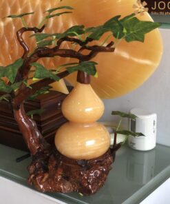 Cây Hồ Lô Đá Ngọc Hoàng Long